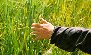 Flick Review < The Color of Paradise | Majid Majidi (1999) 20 Flick Review < The Color of Paradise | Majid Majidi (1999) The2BColor2Bof2BParadise252C2B19992B252872529