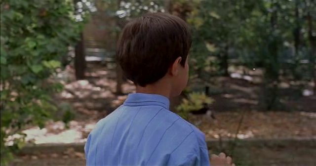 Flick Review < The Color of Paradise | Majid Majidi (1999) 31 Flick Review < The Color of Paradise | Majid Majidi (1999) The2BColor2Bof2BParadise252C2B19992B252872529