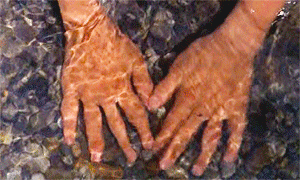 Flick Review < The Color of Paradise | Majid Majidi (1999) 36 Flick Review < The Color of Paradise | Majid Majidi (1999) The2BColor2Bof2BParadise252C2B19992B252892529