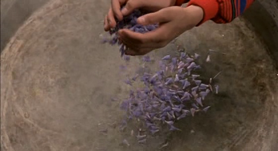 Flick Review < The Color of Paradise | Majid Majidi (1999) 8 Flick Review < The Color of Paradise | Majid Majidi (1999) The2BColor2Bof2BParadise4