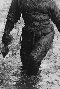 A2BWoman2BPlanting2BRice252C2BToyama2BPrefecture252C2BJapan252C2B19572B2BHiroshi2BHayama