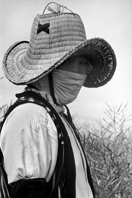 Hiroshi2BHamaya252C2BWoman2BHarvesting252C2BYamagato252C2B1954