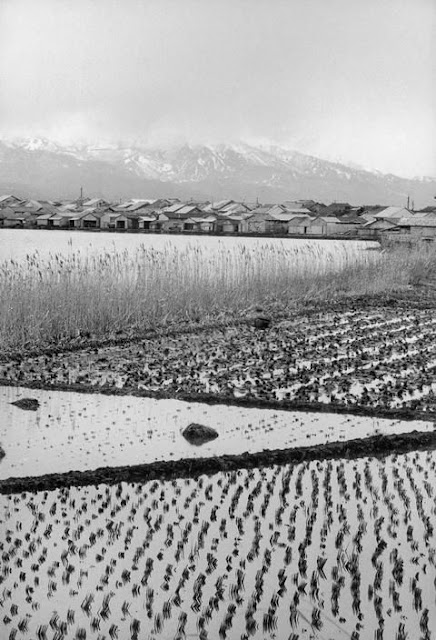 Rural2BJapan252C2B19552Bby2BHiroshi2BHamaya