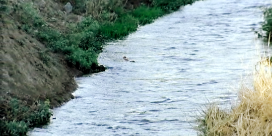 Flick Review < The Wind Will Carry Us | Abbas Kiarostami, 1999 63 Flick Review < The Wind Will Carry Us | Abbas Kiarostami, 1999 The2BWind2BWill2BCarry2BUs252C2B19992B252842529