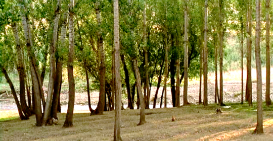 Flick Review < The Wind Will Carry Us | Abbas Kiarostami, 1999 31 Flick Review < The Wind Will Carry Us | Abbas Kiarostami, 1999 The2BWind2BWill2BCarry2BUs252C2B19992B252852529