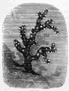 Το Γιούσουρι | Ανδρέας Καρκαβίτσας, 1894 2 Το Γιούσουρι | Ανδρέας Καρκαβίτσας, 1894 To2B25CE259325CE25B925CE25BF25CF258D25CF258325CE25BF25CF258525CF258125CE25B9