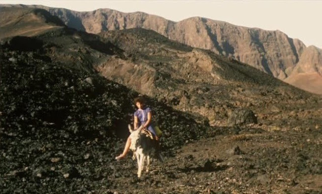 Casa2Bde2BLava2B2528Down2Bto2BEarth2529252C2Bby2BPedro2BCosta2B2528199452B252822529