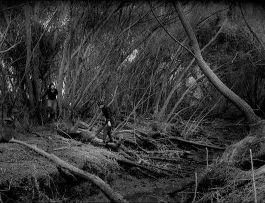 O2BSangue2B252822529