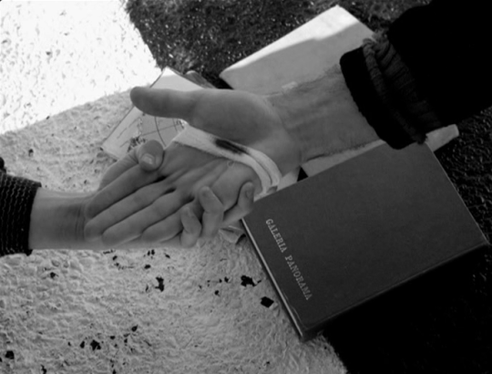 O2BSangue2B252862529