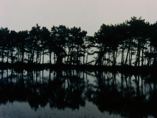 F25C325A5r25C325B62Bdokument