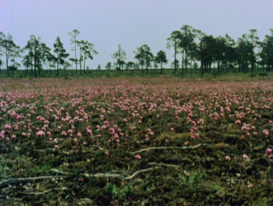 F25C325A5r25C325B62Bdokument2B1