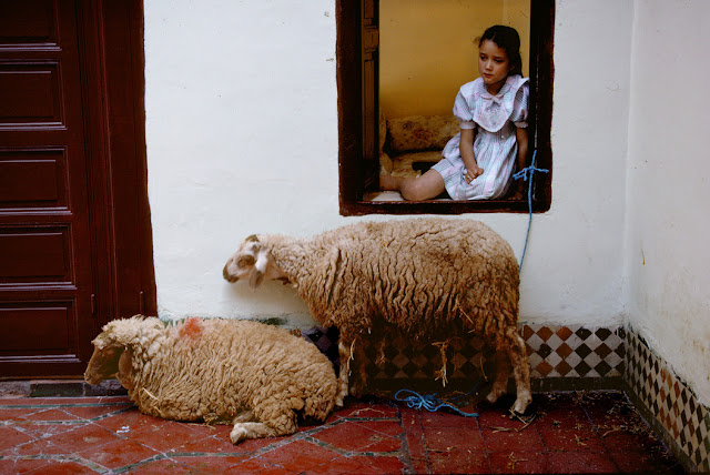 Morocco | Photos by Bruno Barbey (1972-2003) 4 Morocco | Photos by Bruno Barbey (1972-2003) Bruno2BBarbey