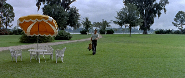 The2BLong252C2BHot2BSummer 1