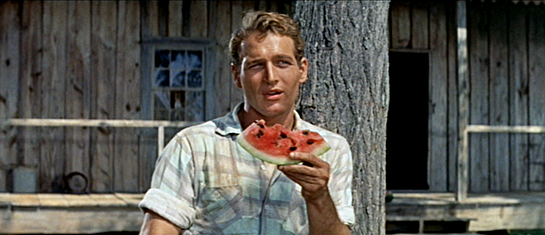 The2BLong252C2BHot2BSummer2B4