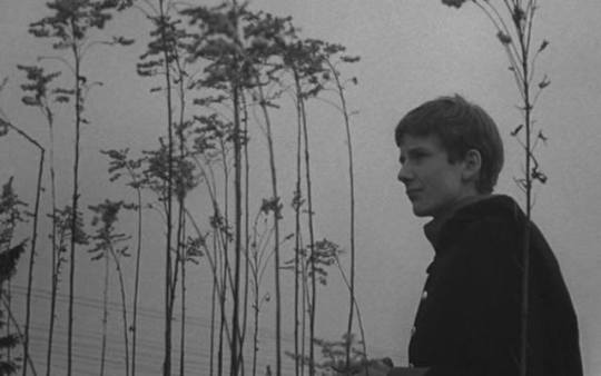 Young2BT25C325B6rless 2