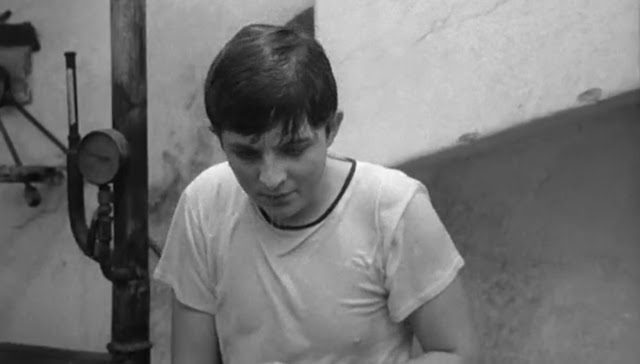 Young2BT25C325B6rless2B2528182529