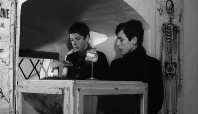 Young2BT25C325B6rless2B2528212529