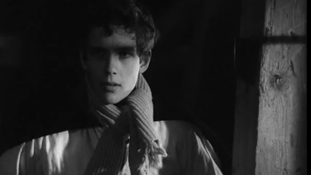 Young2BT25C325B6rless2B2528222529