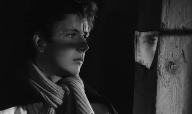 Young2BT25C325B6rless2B2528232529