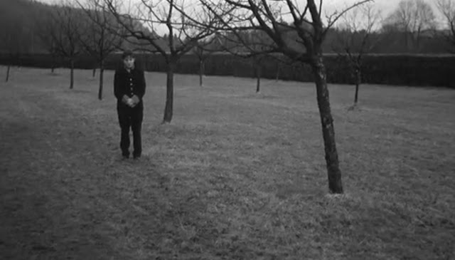 Young2BT25C325B6rless2B2528252529