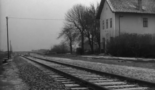 Young2BT25C325B6rless2B2528272529