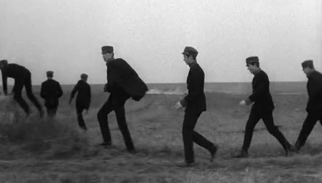 Young2BT25C325B6rless2B252852529