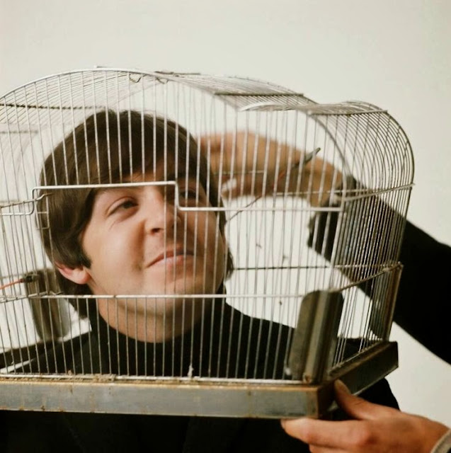 Paul2BMcCartney2C