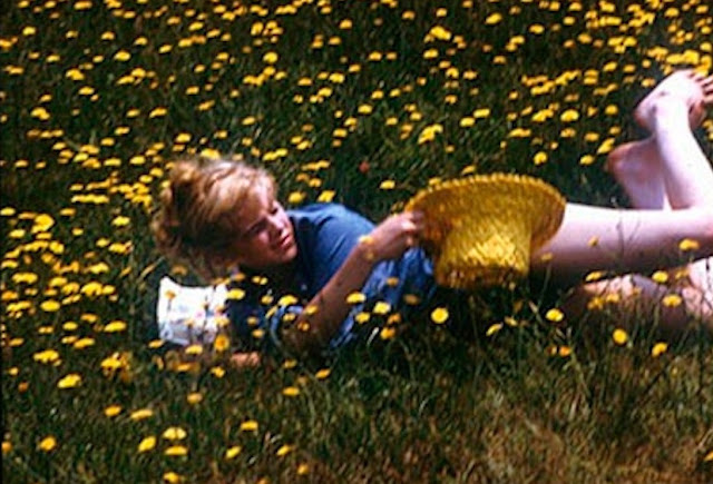 Sue2BLyon2Bas2BLolita