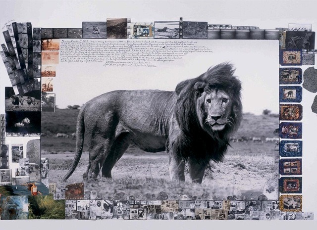 Escapades in Africa | Photos, Collages &  Drawings by Peter Beard, 1938-2020