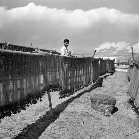 Θερινὸ Ἡλιοστάσι | Γιώργος Σεφέρης, 1966