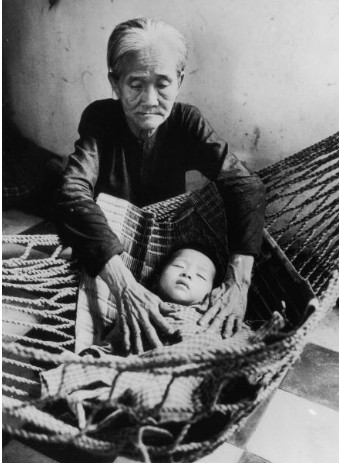 2Bhammock2B252822529