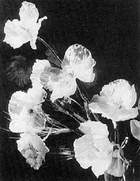 laure albin guillot fleurs