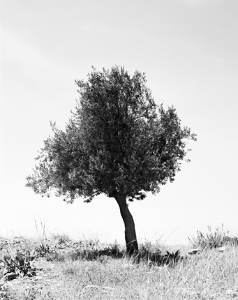 Sasha20Bezzubov20and20Jessica20Sucher 1