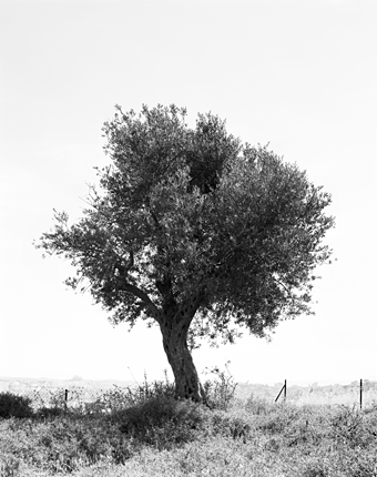 Sasha20Bezzubov20and20Jessica20Sucher20b