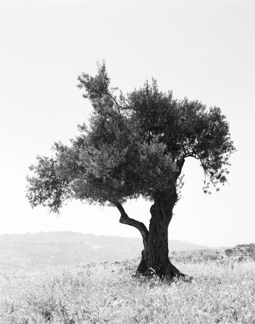 Sasha2BBezzubov2Band2BJessica2BSucher2B1