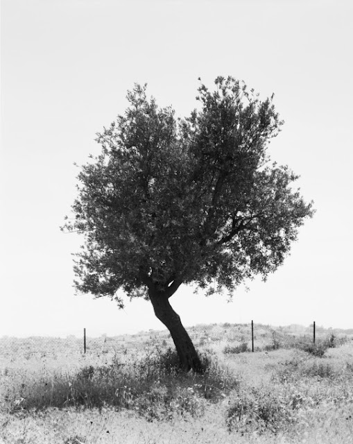 Sasha2BBezzubov2Band2BJessica2BSucher2B3