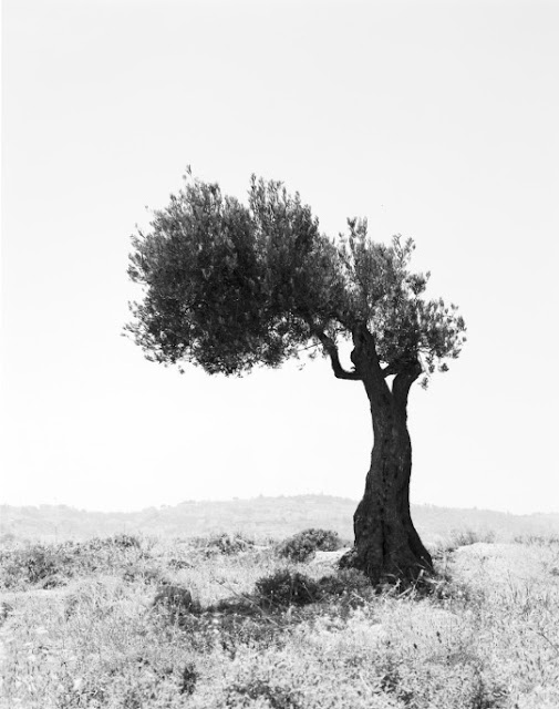 Sasha2BBezzubov2Band2BJessica2BSucher2B4