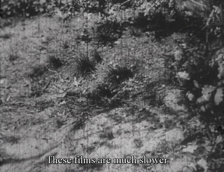 These days our lives are quicker Fritz Lang 3