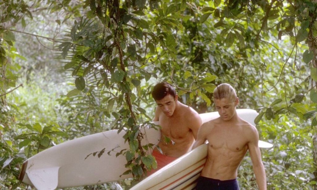 Flick Review < The Endless Summer | Bruce Brown, 1966 2 Flick Review < The Endless Summer | Bruce Brown, 1966 Bruce Brown in The Endless Summer 1965 2