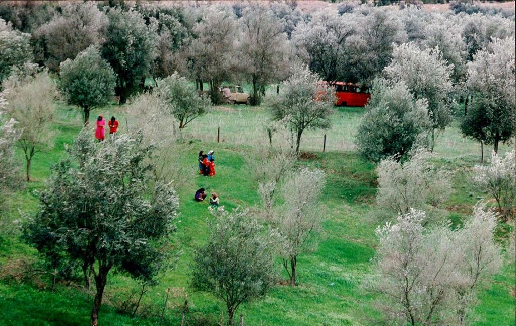 Through the Olive Trees 1994 1