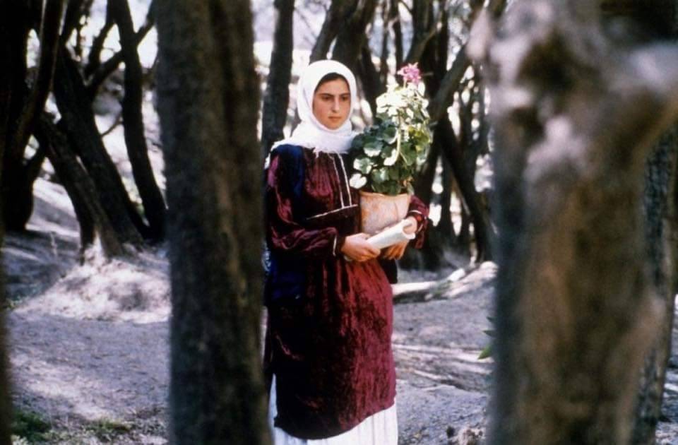 Through the Olive Trees Abbas Kiarostami 1994 1