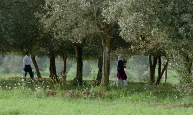 Through the Olive Trees Abbas Kiarostami 1994 3