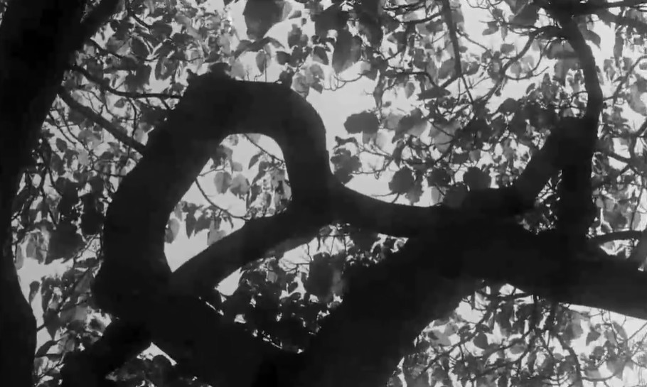 Flick Review < Life Upside Down | Alain Jessua, 1964 16 Flick Review < Life Upside Down | Alain Jessua, 1964 Life Upside Down Alain Jessua 42