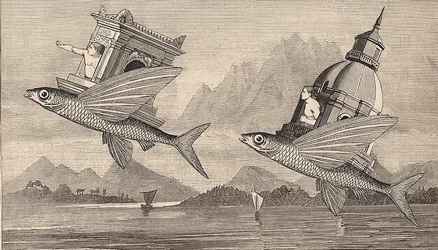 Martin-Copertari-collages-15