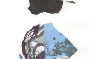 Olivier-Umecker-Collage-2024-1