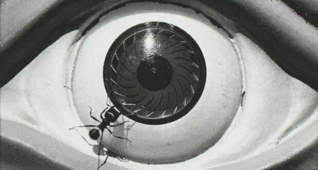 David-Wojnarowicz-Untitled-Eye-with-Ant-1988