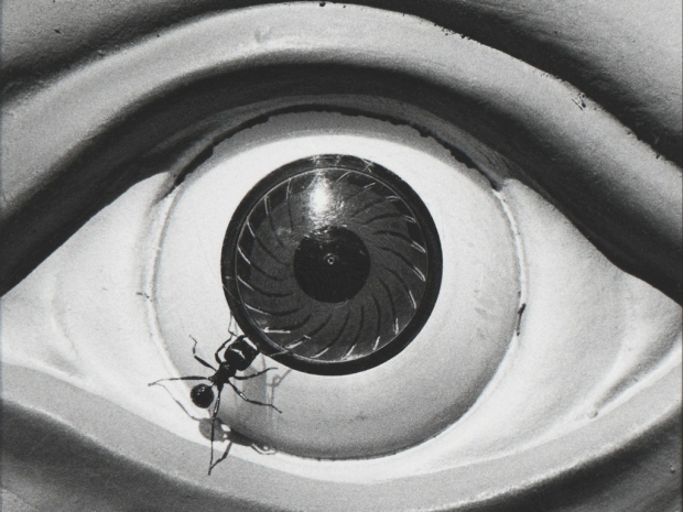 David Wojnarowicz Untitled Eye with Ant 1988