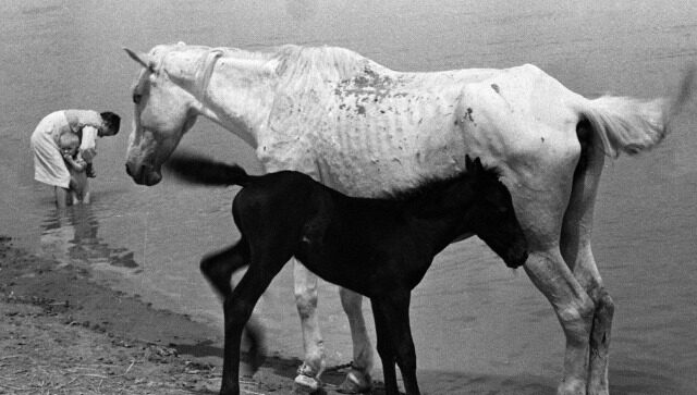 Boris-Ignatovich.-Motherhood-1938