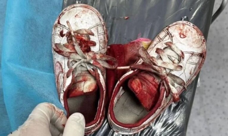 Six-months-old-Palestine-2024-1