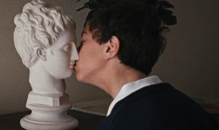 The Metamorphosis of Birds  Catarina Vasconcelos, 2020